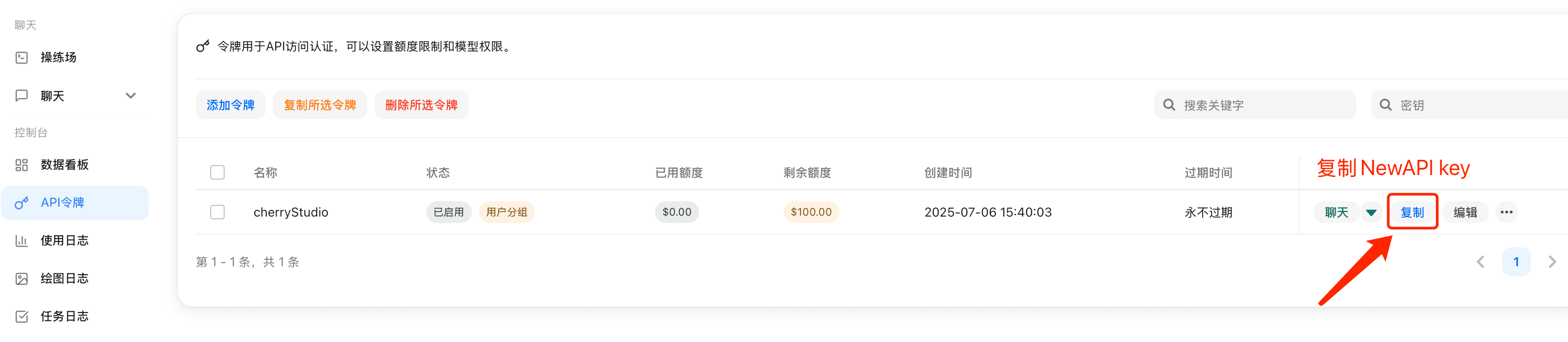 复制 API 密钥